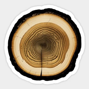 Tree rings Sticker